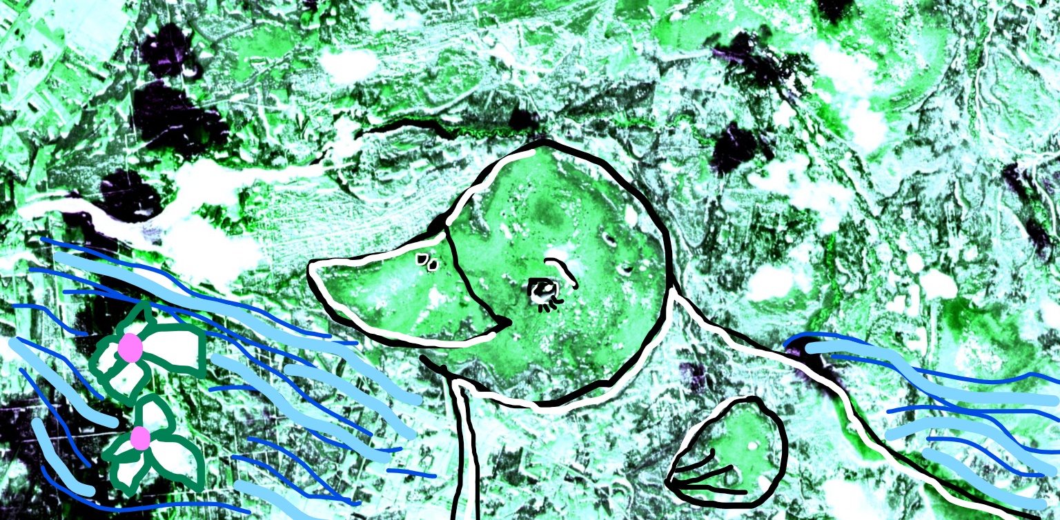 SAttelliidipildist kujundatud pilt pardikesega